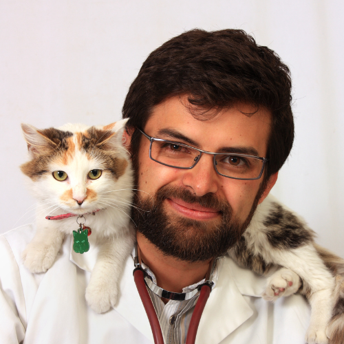 JAVIER YOVANI PAEZ CARDONA