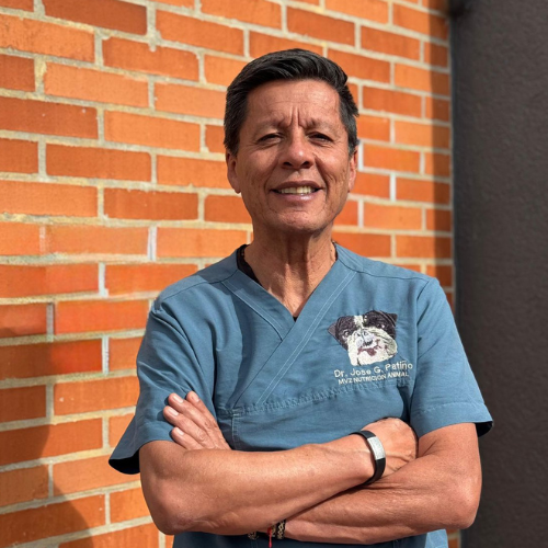 JOSE GUILLERTH PATIÑO ESCOBAR