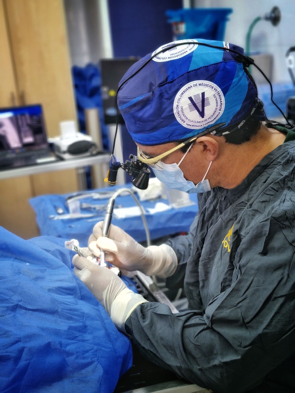 Directorio de profesionales de VEPA Bogotá y Cundinamarca